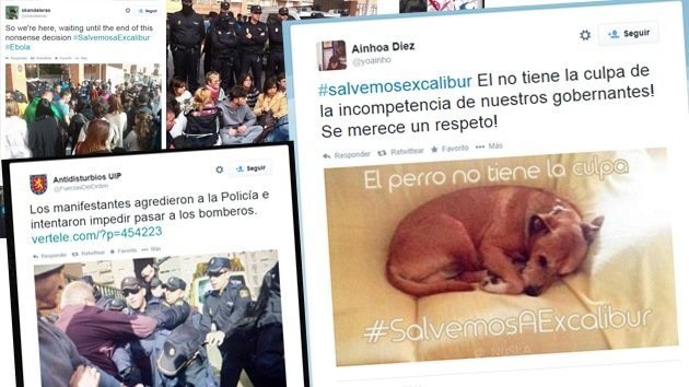 Video, fotos: Activistas intentan impedir que sacrifiquen al perro de la auxiliar con ébola
