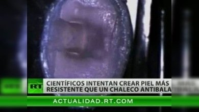 Un escudo antibalas hecho de piel humana