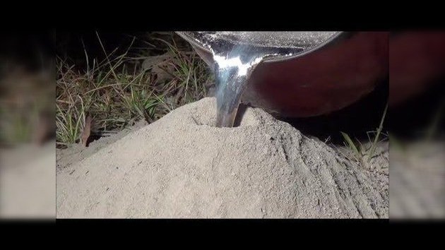 Polémico video de un ‘artista’ que inunda un hormiguero con aluminio líquido