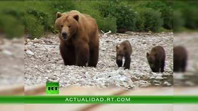 ENCUENTROS CON LA NATURALEZA : LA RESERVA DE KRONOTSKI 