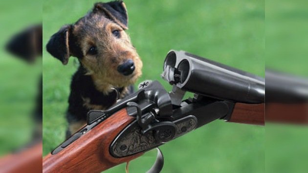 Un cazador estadounidense es herido de bala por su propio perro