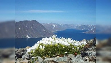 Rusia  y EE.UU. realizarán un gigantesco proyecto en el Estrecho de Bering
