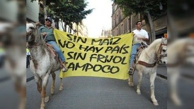 El hambre amenaza a 2,5 millones de mexicanos por la intensa sequía