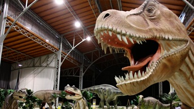 Zoológico contrata a un adolescente de 13 años como experto en dinosaurios