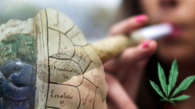 Foto: La marihuana 'desfigura' el cerebro de los jóvenes