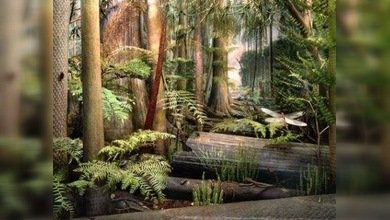 ¿Los dinosaurios surgieron gracias al cambio climático?