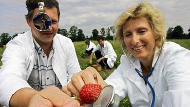 Estudio: 7 porciones de fruta al día reducen a la mitad el riesgo de una muerte precoz