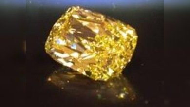 EE. UU. subastará el 'ojo de oro' de un delincuente