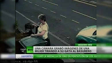 ¡Favor de no tirar a los gatos al basurero!