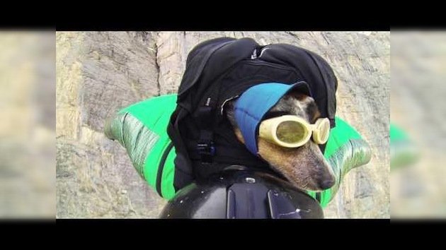 El primer perro 'volador' salta desde una gigantesca montaña