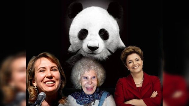 Una osa panda, elegida entre las '12 mujeres del año' por la BBC