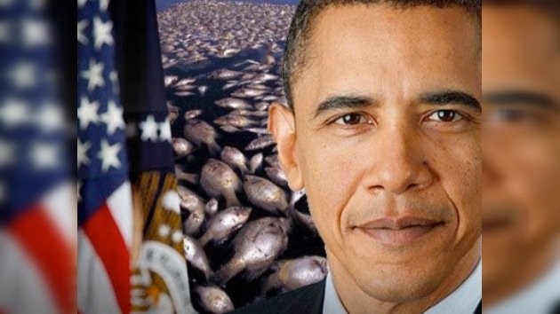En la cena de cumpleaños de Obama servirán mariscos del Golfo de México