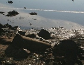 Greenpeace: Tenemos varias 'minas de acción retardada'