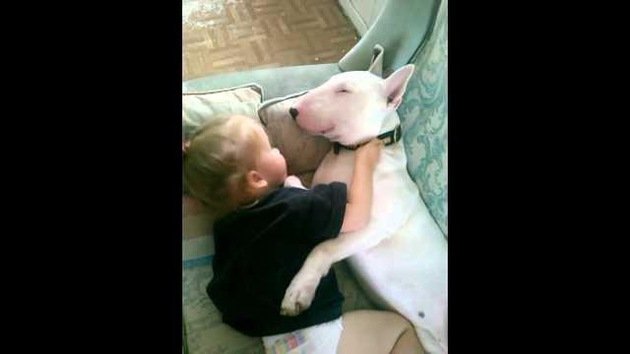 Conmovedora amistad entre una niña y su perro