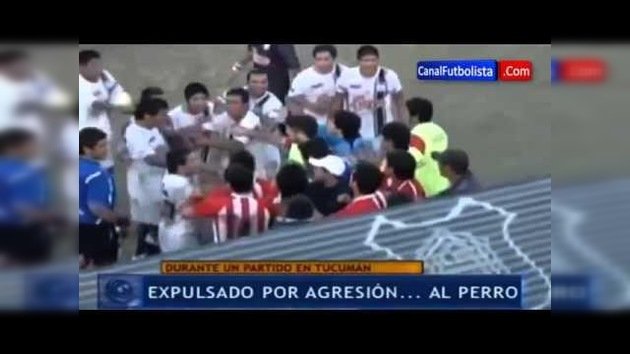 Un futbolista argentino agrede a un perro indefenso en pleno partido