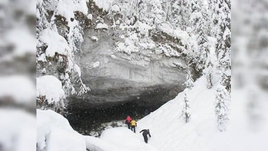Comienzan a descifrar los 'gruñidos' de los yetis