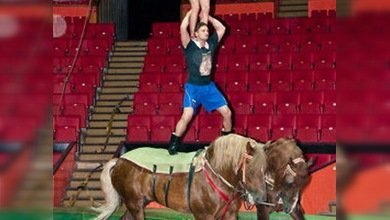 Tres acróbatas rusos y dos caballos, la fórmula del nuevo Guinness