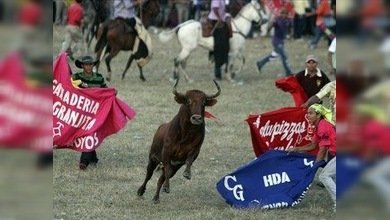 Un asesino de 600 kg: un toro mata a un participante de una corraleja colombiana