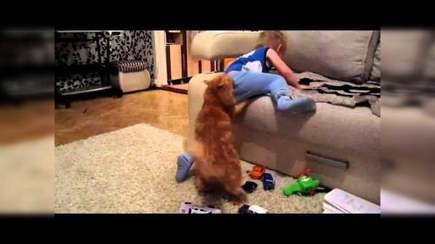 Un gato ‘castiga’ a un niño travieso
