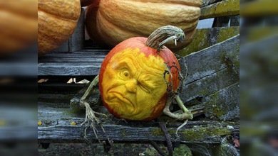 Artista de...¡calabazas!