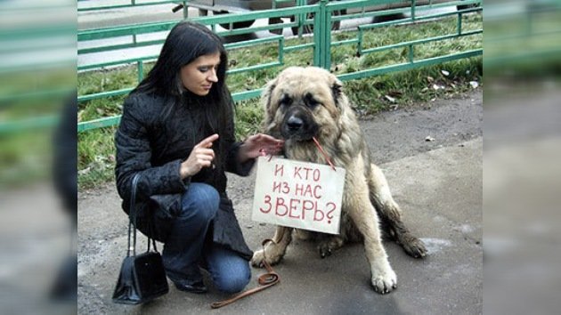 En Rusia se realiza acto en apoyo a los animales callejeros