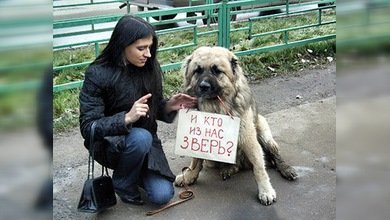 En Rusia se realiza acto en apoyo a los animales callejeros