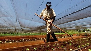 Cuba gana crédito: la inyección de préstamos en el sector privado reanima la economía