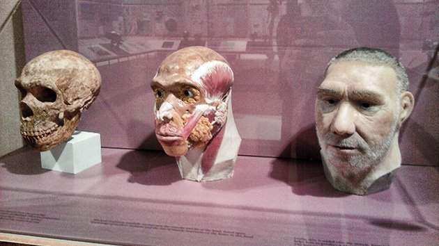 Los científicos rompen el mito: el neandertal no tuvo sexo con humanos