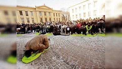 Protestas en Oslo contra la revista que publicó unas caricaturas de Mahoma