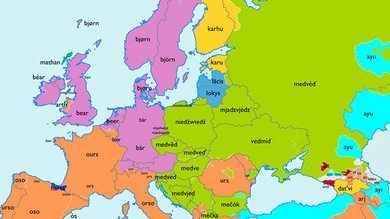 Viaje por Europa a la última frontera de las palabras: ¿de dónde viene "oso" o "rosa"?