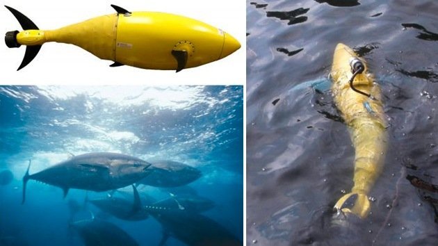 EE.UU. piensa fortalecer su seguridad con un nuevo robot espía con aspecto de atún