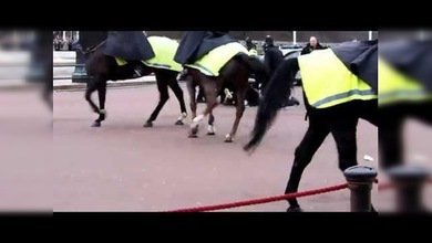 Un hombre con dos cuchillos amenaza con suicidarse fuera del Palacio de Buckingham