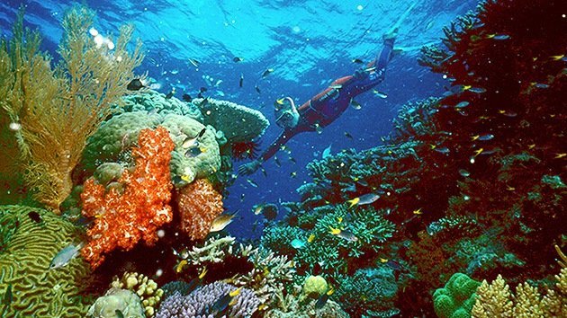 Australia: permiten un enorme vertido de barro en la Gran Barrera de Coral