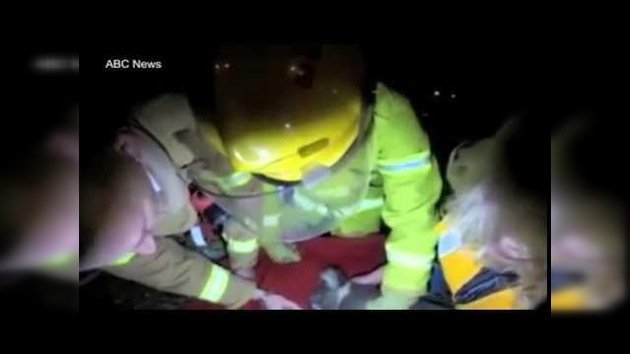 Misión rescate: Un bombero salva la vida de un koala con respiración boca a boca