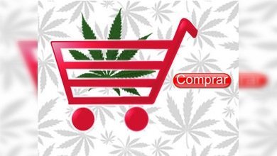 Desmantelan el mercado más sofisticado de narcóticos en internet