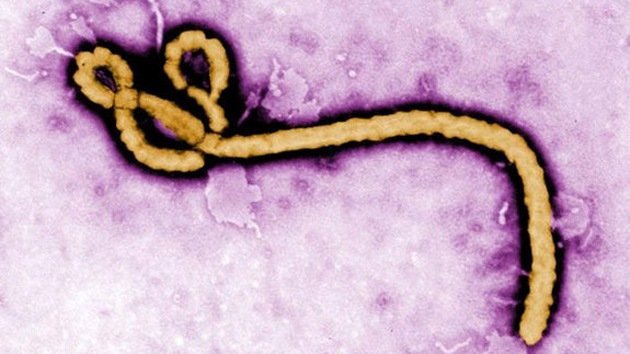 ¿El ébola "colonizará" el mundo?