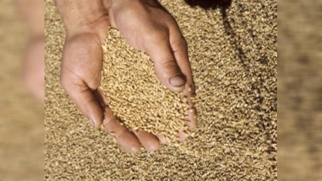 Rusia enviará 100 mil toneladas de trigo a Cuba