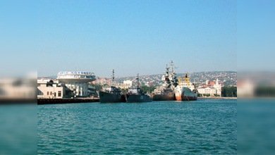 Ucrania elabora un proyecto que podría salvar la fauna de las costas