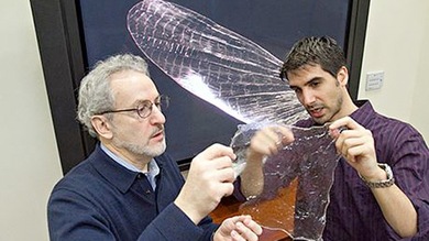 Cinco materiales extraños que podrían cambiar el mundo
