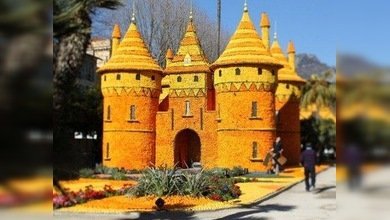 Francia: Fiesta del Limón con casas de naranjas y animales de toronjas