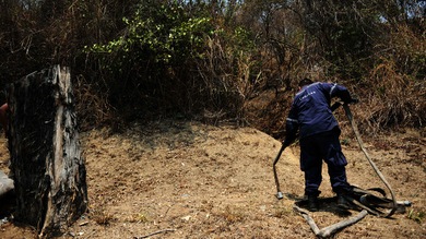 Venezuela, en alerta ante una de sus peores sequías: "El agua no tiene color político"
