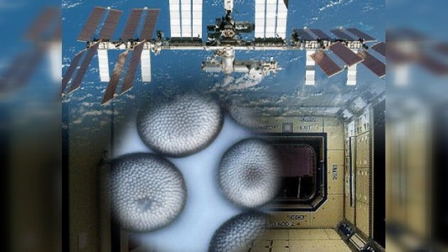 Estación Espacial Internacional, ¿a punto de deshacerse?