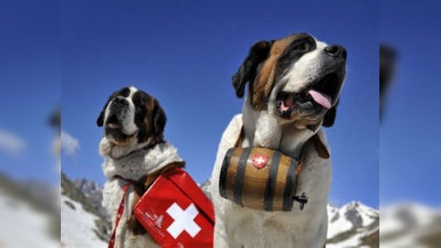 Suiza dijo “no” a abogados para animales 
