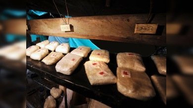 Hallan un laboratorio de droga sintética en las entrañas de Sinaloa