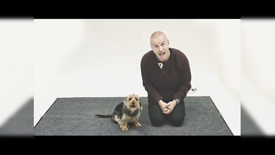 Experimento: Un hombre ladra y los perros reaccionan así