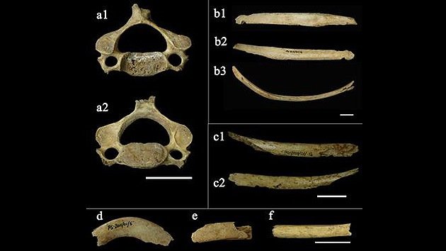Hallan restos humanos de más de 4000 años en el centro de España