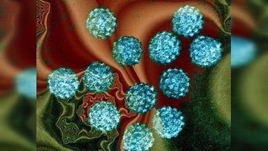 Científicos británicos revelan el código genético del cáncer