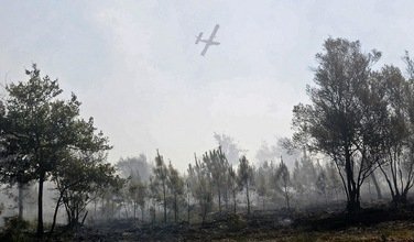 Video, fotos: Un bosque prehistórico emerge de la arena en el Reino Unido