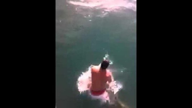 Un australiano se abalanza sobre un tiburón tigre por una apuesta