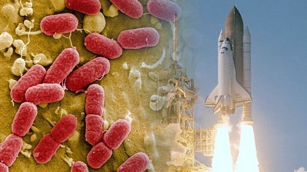 Diseñan una bacteria capaz de producir combustible para cohetes y misiles
